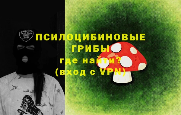 гашик Магас