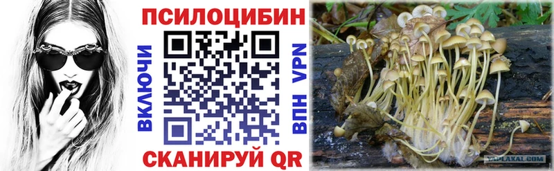 как найти наркотики  Топки  Псилоцибиновые грибы ЛСД 