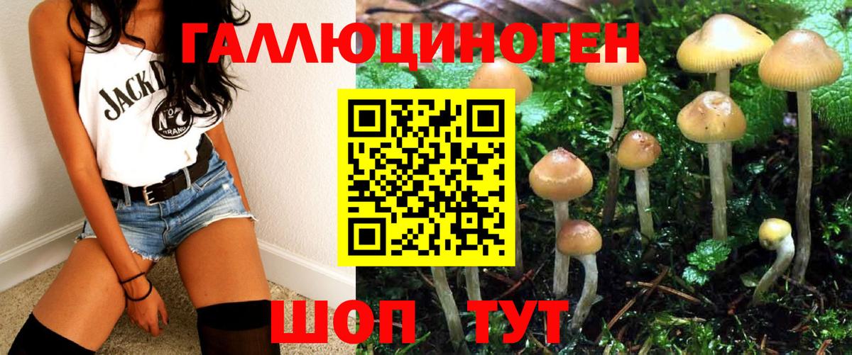 Псилоцибиновые грибы Magic Shrooms  Галлюциногенные грибы мицелий  Топки 